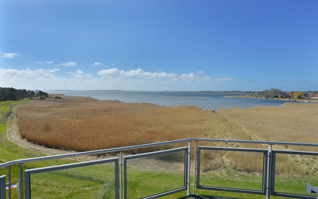 Ausblick auf den Breeger Bodden