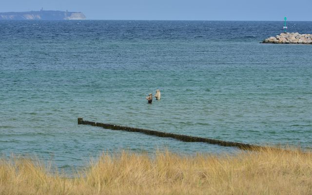Blick auf Kap Arkona