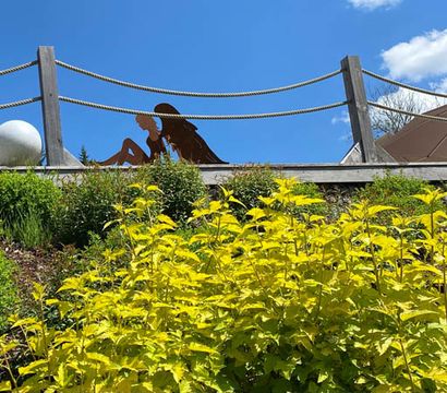 Angebot: Auszeit - Wellnesshotel Riedlberg 