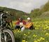 Lahn-Dill-Bergland